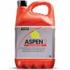 Aspen Tronçonneuse Essence Prête à L'emploi 5 Litres Pour Moteurs à Deux Temps.